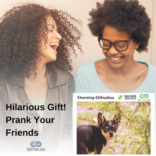 Load image into Gallery viewer, Prank Puzzle Surprise Pooping Chihuahua 500 Piece Puzzle. Prank Gift Pooping Dogs Puzzle, Gag Gifts for Adults & Teens. Pooping Puppy Funny Puzzles Chihuahua Gifts