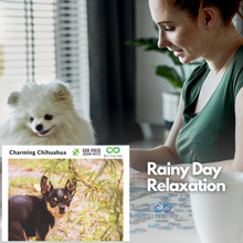 Load image into Gallery viewer, Prank Puzzle Surprise Pooping Chihuahua 500 Piece Puzzle. Prank Gift Pooping Dogs Puzzle, Gag Gifts for Adults & Teens. Pooping Puppy Funny Puzzles Chihuahua Gifts
