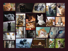 Load image into Gallery viewer, Cuddly Cats 1000 Piece Puzzle for Adults - Fun Cat Puzzle for Cat Lovers, Collage Cat Jigsaw Puzzle 1000 Pieces
