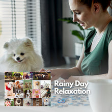 Load image into Gallery viewer, Puppy Puzzle 1000 Pieces - Puppy Pals 1000 Piece Puzzle, Like 17 Mini Jigsaw Puzzles in One. Cute Puppies Galore, Running, Playing, Smiling, Naughty Stealing Treats etc.