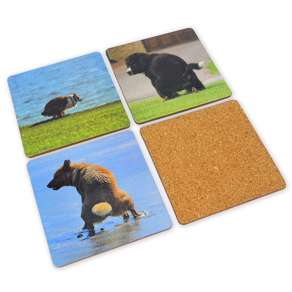 White Elephant Gifts for Adults, Funny Coasters Set of 8, Gag