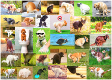 Load image into Gallery viewer, Pooping Dogs 2 - 1000 Piece Dog Puzzles for Adults - Funny Gift Dog Poop Gag Jigsaw Puzzles for Dog Lovers &amp; Puppy Owners Prank
