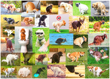 Load image into Gallery viewer, Pooping Dogs 2 - 1000 Piece Dog Puzzles for Adults - Funny Gift Dog Poop Gag Jigsaw Puzzles for Dog Lovers & Puppy Owners Prank