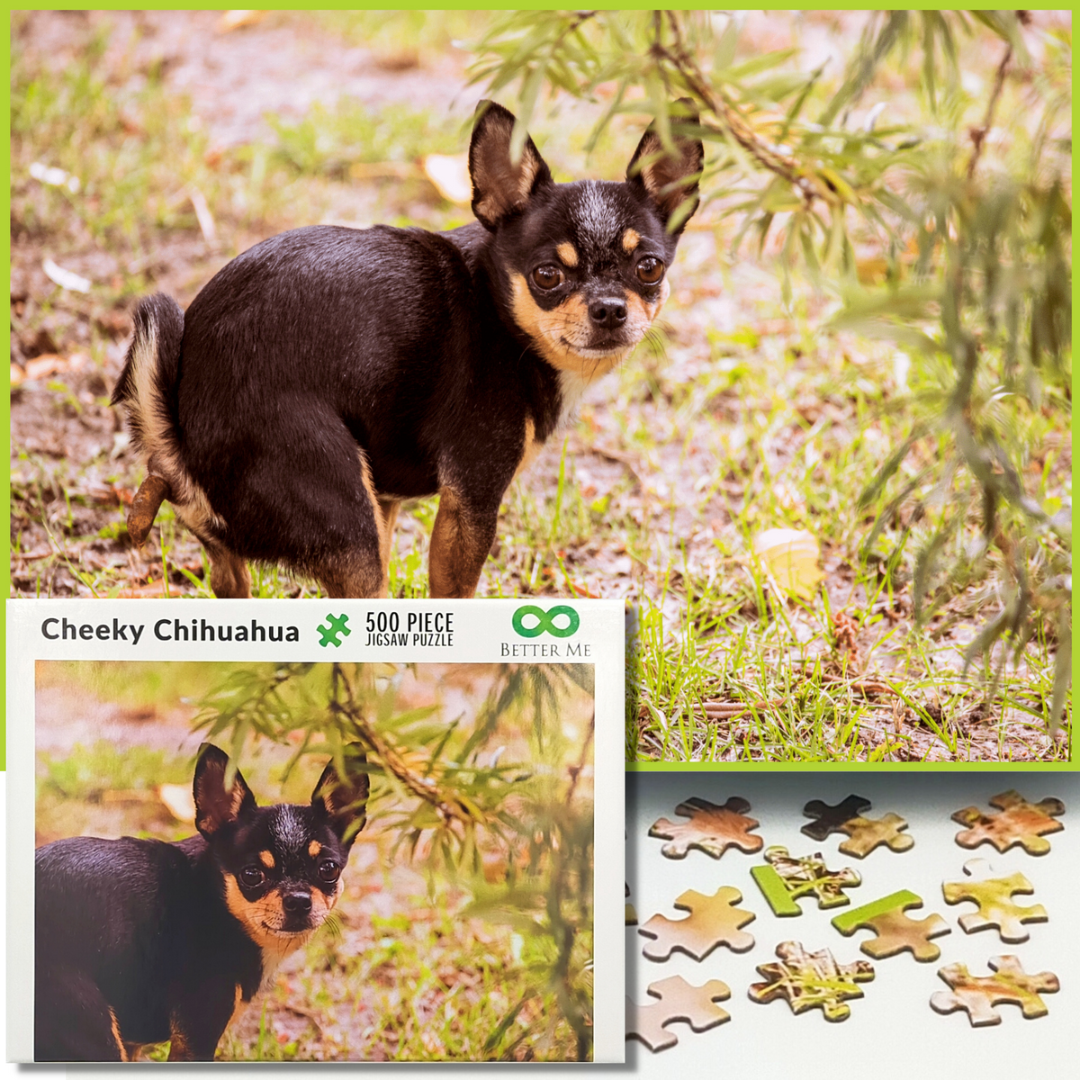 Pooping Chihuahua 1000 Piece Puzzle for Adults - Funny Puzzle Pranks for  Adults, Dog Lovers & Owners…See more Pooping Chihuahua 1000 Piece Puzzle  for