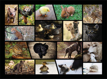 Load image into Gallery viewer, Baby Animals Jigsaw Puzzle, Family Puzzle - 500 Piece Puzzle
