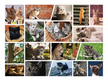 Load image into Gallery viewer, Cute Kittens Jigsaw Puzzle - Great Cat Gifts for Cat Lovers, Family Puzzle - 500 Piece Puzzle
