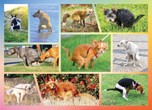 Load image into Gallery viewer, Pooping Dogs 100pc Kids Puzzle – Funny Gift for Dog Lovers and Owners – 100 Piece Jigsaw Puzzle