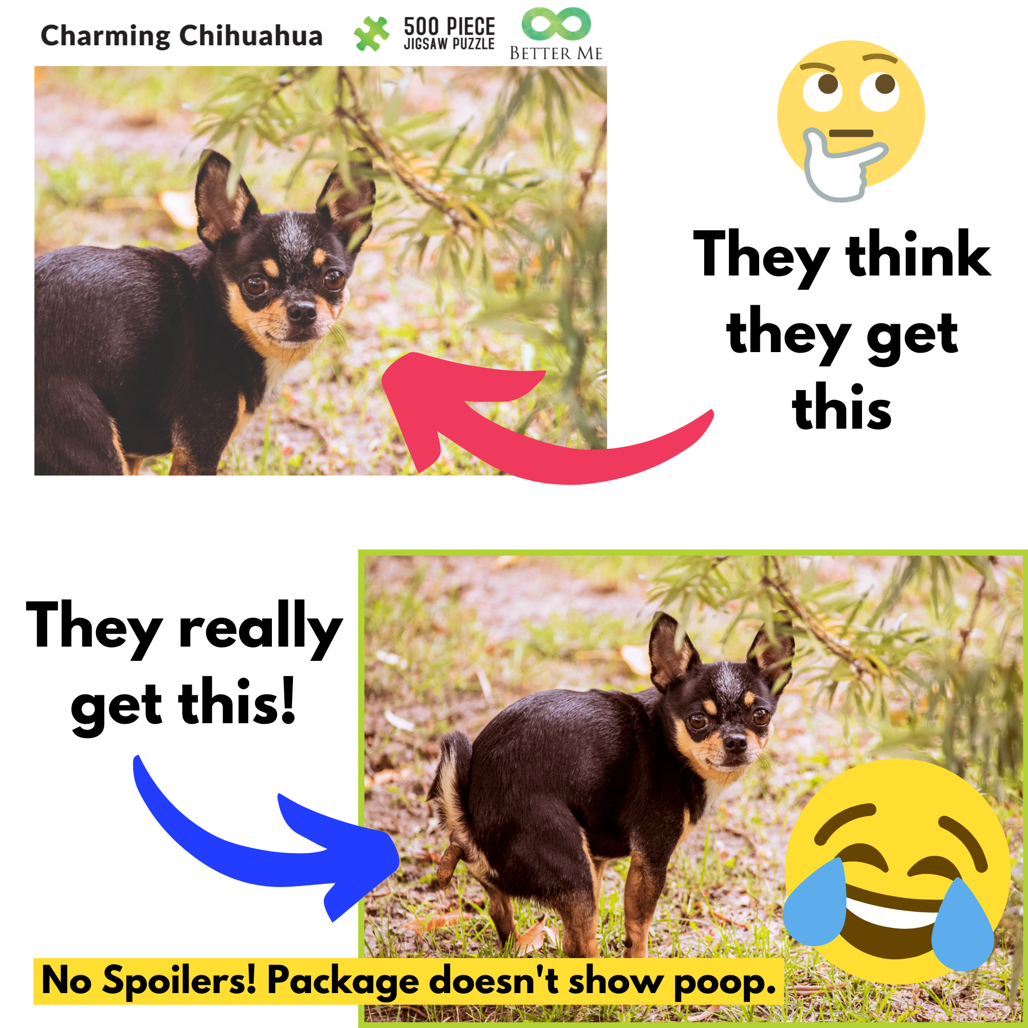 Prank Puzzle Surprise Pooping Chihuahua 500 Piece Puzzle. Prank
