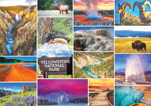 Yellowstone National Park 1000 Piece Puzzle - USA National Park Puzzle Ideal for Hikers, Travelers, Adults, Teens & Family - Great National Park Gifts