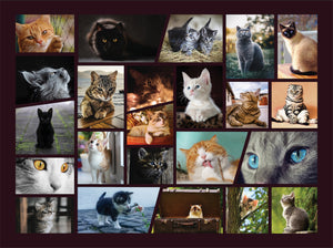 Cuddly Cats 1000 Piece Puzzle for Adults - Fun Cat Puzzle for Cat Lovers, Collage Cat Jigsaw Puzzle 1000 Pieces