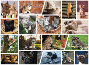 Cute Kittens 1000 Piece Puzzle for Adults - Fun Kitten Puzzle for Cat Lovers, Collage Kitten Jigsaw Puzzle 1000 Pieces