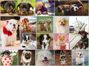Puppy Puzzle 1000 Pieces - Puppy Pals 1000 Piece Puzzle, Like 17 Mini Jigsaw Puzzles in One. Cute Puppies Galore, Running, Playing, Smiling, Naughty Stealing Treats etc.