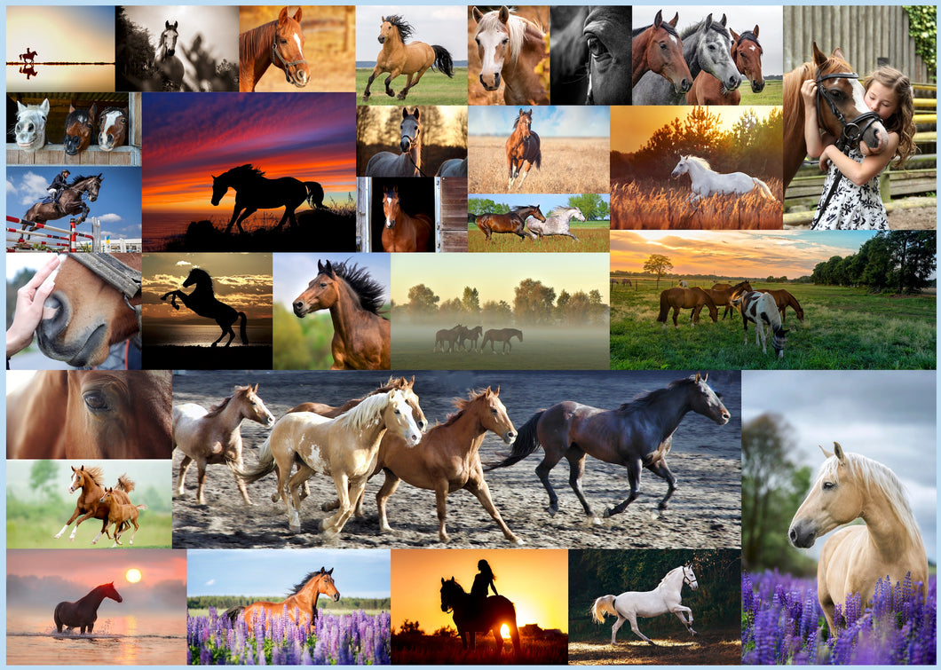 Horse Force 1000 Piece Jigsaw Puzzle. Horse Puzzles 1000 Pieces Fun Horse Gifts for Women & Men