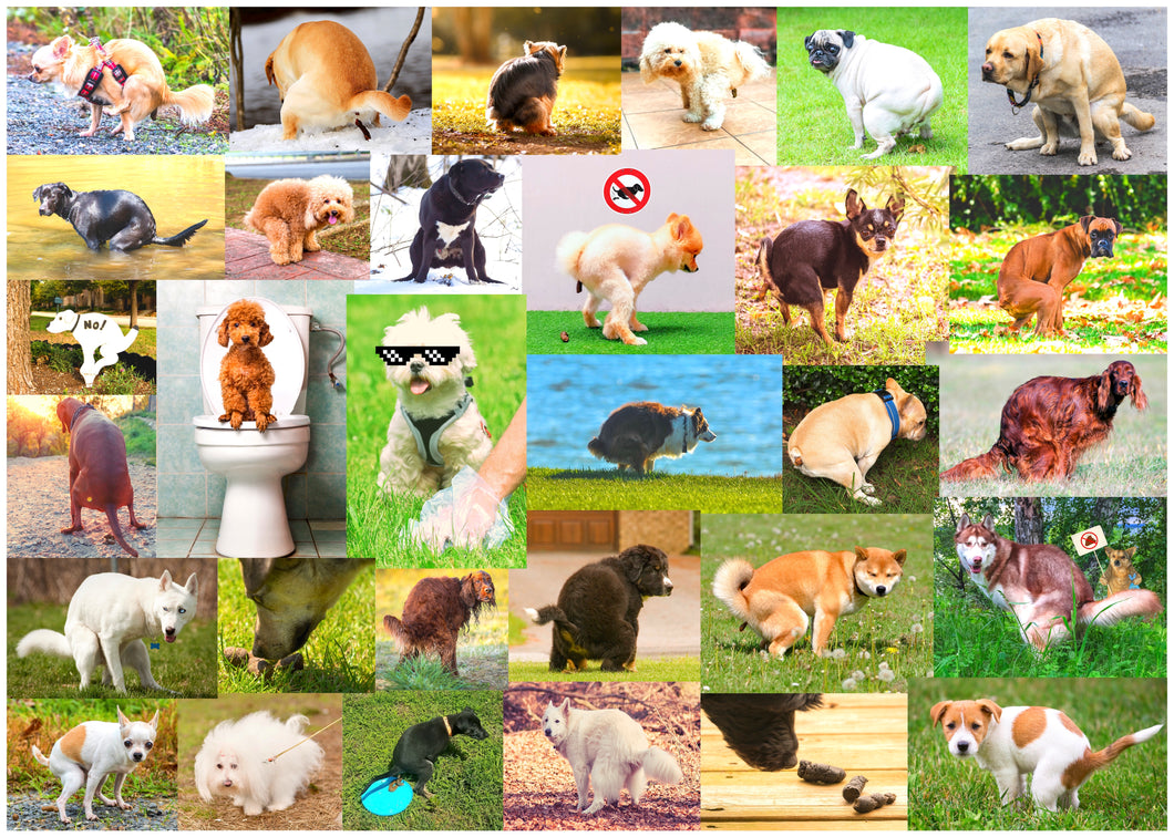 Pooping Dogs 2-1000 Piece Dog Puzzles for Adults - Funny Gift Dog Poop Gag Jigsaw Puzzles for Dog Lovers & Puppy Owners Prank
