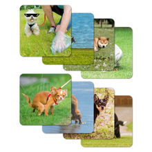 Load image into Gallery viewer, Pooping Dogs Funny Coasters Set of 8
