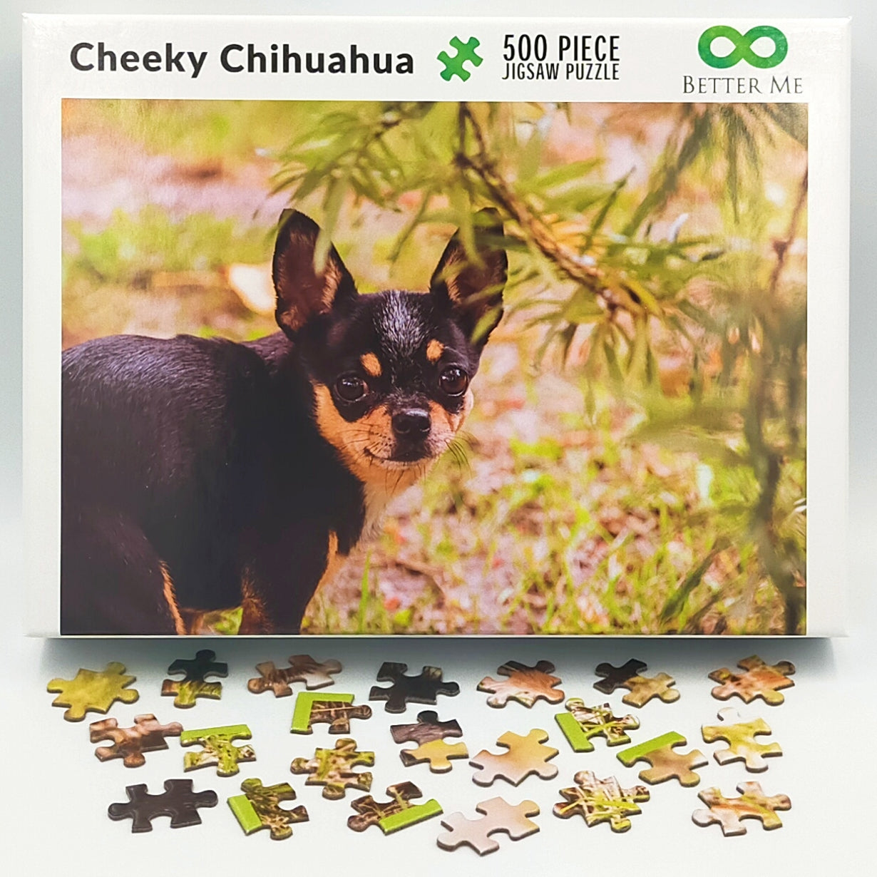 Jigsaw Puzzle of Chihuahua dogs indoors wearing a jumper Date
