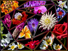 Load image into Gallery viewer, Flower Power Flower Puzzles for Adults 500 Piece Tropical Floral Collage. Jigsaw Puzzle Flower Lover Design Includes Beautiful Plumeria, Bougenvilla, Hibiscus, Orchids, a Bouquet of Gorgeous Blossoms
