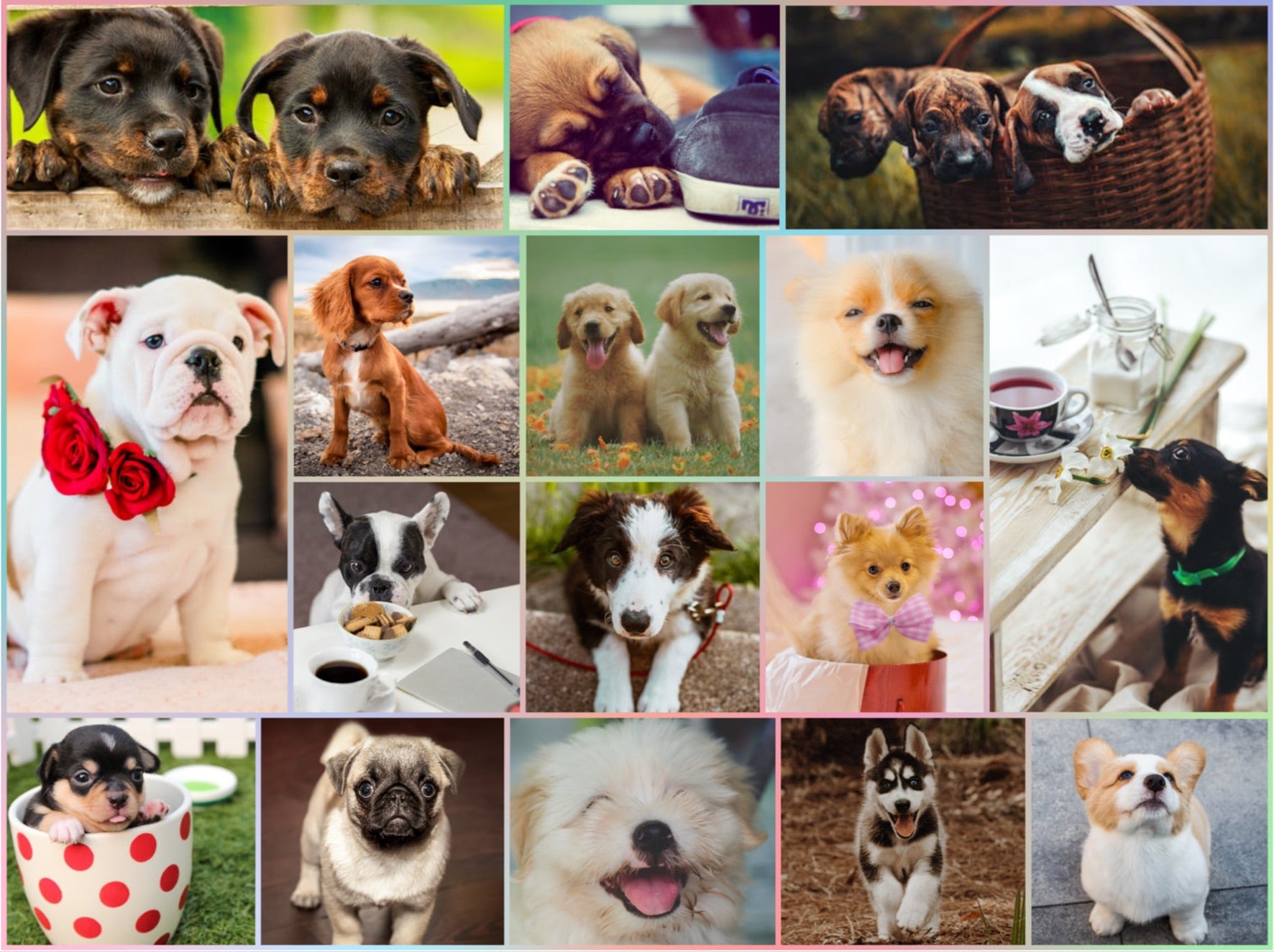 Puppy Pals, Adult Puzzles, Jigsaw Puzzles, Products